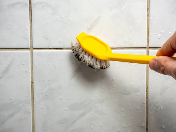 Best Localized Mold Remediation (e.g., coastal areas, humid climates) in Una, WA