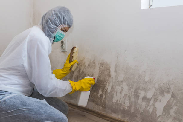 Best Bathroom Mold Remediation in Una, WA