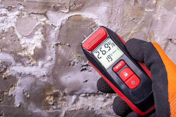 Best DIY Mold Remediation Support Services in Una, WA